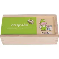 Beleduc cognito activiteiten herkennen houten kinderspel