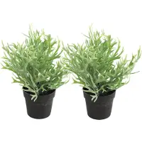 Countryfield Kunstplant Platycerium plant in bloempot - 2x - Groen - 20 x 24 cm