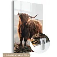 MuchoWow Glasschilderij - Schotse hooglander - Koe - Berg - Foto op glas - Acrylglas - 90x120 cm - Schilderij glas - Glasschilderij natuur - Glasschilderij Schotse hooglander - Muurdecoratie
