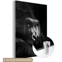 MuchoWow Glasschilderij - Foto op glas - Acrylglas - Gorilla - Aap - Zwart-wit - Portret - 120x160 cm - Schilderij glas - Glasschilderij aap - Decoratie woonkamer - Glasschilderij zwart wit