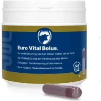 Excellent Euro-Vital Bolus