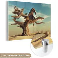 MuchoWow - Glasschilderij - Acrylglas - Olifant - Boom - Zand - Gras - Dieren - Schilderij glas - 180x120 cm - Foto op glas - Muurdecoratie