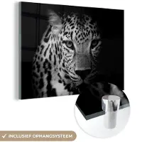 MuchoWow Glasschilderij - Foto op glas - Acrylglas - Dieren - Panter - Zwart - Wit - Woonkamer - 120x80 cm - Glasschilderij panter - Glasschilderij zwart wit - Wanddecoratie - Muurdecoratie glas
