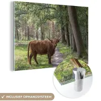MuchoWow Glasschilderij 60x40 cm - Schilderij acrylglas - Schotse Hooglander - Pad - Boom - Foto op glas - Schilderijen