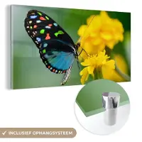 MuchoWow Glasschilderij - Foto op glas - Vlinder - Bloemen - Kleuren - 160x80 cm - Acrylverf - Glasschilderij vlinder - Glasschilderij bloemen - Schilderij glas - Kamer decoratie - Woonkamer