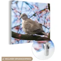 MuchoWow Glasschilderij - Vogel - Bloemen - Duif - Bloesem takken - Roze - Acrylglas - Foto op glas - Wanddecoratie - 90x90 cm - Wanddecoratie natuur - Glasschilderij dieren - Schilderij glas