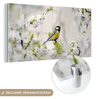 MuchoWow - Glasschilderij - Foto op glas - Acrylglas - Vogel - Koolmees - Bloemen - Bloesemboom - Wit - Wanddecoratie - 120x60 cm - Glasschilderij bloemen - Muurdecoratie