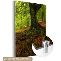 MuchoWow Glasschilderij 120x160 cm - Schilderij acrylglas - Boom - Bos - Herfstbladeren - Foto op glas - Schilderijen