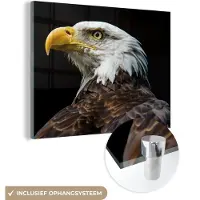 MuchoWow Glasschilderij 40x30 cm - Schilderij acrylglas - Adelaar - Vogel - Ogen - Snavel - Foto op glas - Schilderijen