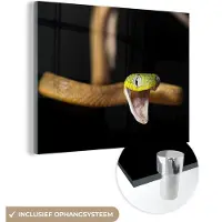 MuchoWow Glasschilderij 80x60 cm - Schilderij acrylglas - Slang - Dier - Zwart - Foto op glas - Schilderijen