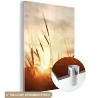 MuchoWow - Glasschilderij - Foto op glas - Riet - Gras - Zon - Natuur - 120x160 cm - Afbeelding op glas - Wanddecoratie - Schilderij natuur - Acrylglas