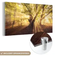 MuchoWow Glasschilderij 160x80 cm - Schilderij acrylglas - Boom - Bos - Zon - Foto op glas - Schilderijen