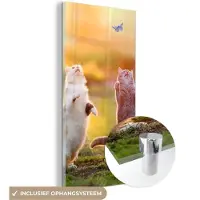 MuchoWow Glasschilderij - Foto op glas - Katten - Kat - Vlinder - Zonsondergang - Natuur - 60x120 cm - Acrylglas - Glasschilderij natuur - Schilderij glas - Muurdecoratie