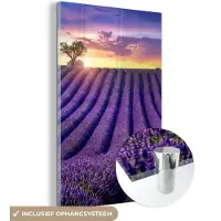 MuchoWow - Glasschilderij - Bloemen - Zonsondergang - Lavendel - Landschap - Bomen - Foto op glas - Acrylglas - 120x180 cm - Wanddecoratie glas - Glasschilderij bloemen - Schilderij paars