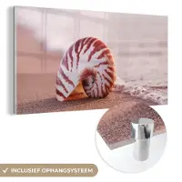 MuchoWow Glasschilderij - Wanddecoratie - - Zee - Strand - Schelp - Schilderij glas - Muurdecoratie - Acrylglas - Foto op glas - 120x60 cm - Schilderijen woonkamer