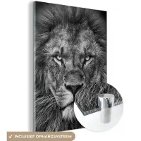 MuchoWow Glasschilderij - Foto op glas - Acrylglas - Wilde dieren - Leeuw - Zwart - Wit - 60x80 cm - Glasschilderij leeuw - Schilderij glas - Kamer decoratie - Slaapkamer