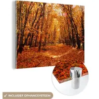 MuchoWow Glasschilderij 160x120 cm - Schilderij acrylglas - Herfst - Bos - Bladeren - Seizoenen - Foto op glas - Schilderijen