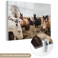 MuchoWow Glasschilderij 180x120 cm - Schilderij acrylglas - Dieren - Paard - Paarden - Foto op glas - Schilderijen