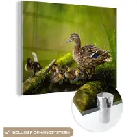 MuchoWow Glasschilderij - Eend - Vogels - Water - Tak - Mos - Acrylglas - Foto op glas - 80x60 cm - Woonkamer - Schilderij glas - Wanddecoratie - Glasschilderij dieren - Glasschilderij vogels