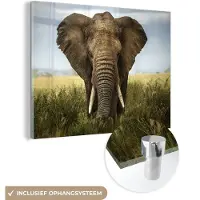 MuchoWow Glasschilderij olifant - Gras - Dieren - Landschap - Wanddecoratie - Kamer decoratie - 160x120 cm - Muurdecoratie glas - Schilderij glas - Wanddecoratie woonkamer - Glasplaat