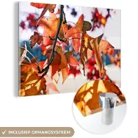 MuchoWow Glasschilderij 30x20 cm - Schilderij acrylglas - Esdoorn - Bladeren - Landelijk - Herfst - Foto op glas - Schilderijen