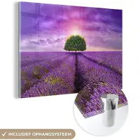 MuchoWow Glasschilderij - Foto op glas - Lavendel - Boom - Zon - Bloemen - Paars - Acrylglas - 60x40 cm - Glasschilderij natuur - Schilderij paars - Schilderij glas - Muurdecoratie