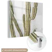 MuchoWow Glasschilderij 90x90 cm - Schilderij acrylglas - Cactus - Zomer - Planten - Foto op glas - Schilderijen