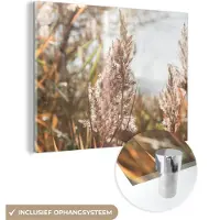MuchoWow Glasschilderij 160x120 cm - Schilderij acrylglas - Riet - Zon - Plant - Foto op glas - Schilderijen