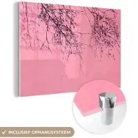 MuchoWow Glasschilderij 60x40 cm - Schilderij acrylglas - Bloemen - Takken - Zomer - Foto op glas - Schilderijen