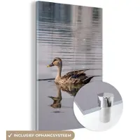 MuchoWow - Glasschilderij - Foto op glas - Eend - Water - Vogel - Acrylglas - 120x180 cm - Wanddecoratie - Glasschilderij vogels - Glasschilderij natuur - Slaapkamer