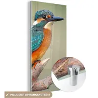 MuchoWow Glasschilderij 60x120 cm - Schilderij acrylglas - Vogel - IJsvogel - Tak - Foto op glas - Schilderijen