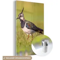 MuchoWow - Glasschilderij - Vogel - Natuur - Gras - Dieren - Acrylglas - Foto op glas - 120x180 cm - Wanddecoratie glas - Glasschilderij vogels - Glasschilderij natuur - Muurdecoratie