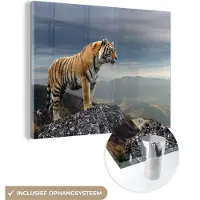MuchoWow - Glasschilderij - Tijger - Rots - Bergen - Muurdecoratie - Acrylglas - Foto op glas - 160x120 cm - Schilderij glas - Wanddecoratie