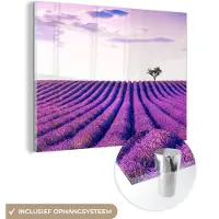 MuchoWow - Glasschilderij - Foto op glas - Acrylglas - Lavendel - Boom - Lucht - Paars - Bloemen - 160x120 cm - Glasschilderij bloemen - Schilderij paars - Muurdecoratie