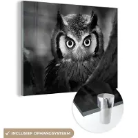MuchoWow Glasschilderij - Foto op glas - Wilde dieren - Uil - Vogel - Zwart - Wit - 160x120 cm - Acrylglas - Muurdecoratie - Glasschilderij dieren - Schilderij vogels - Woondecoratie
