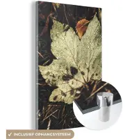 MuchoWow Glasschilderij 40x60 cm - Schilderij acrylglas - Herfstbladeren - Herfst - Seizoenen - Natuur - Foto op glas - Schilderijen