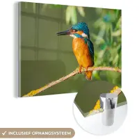 MuchoWow Glasschilderij - Foto op glas - Vogel - IJsvogel - Tak - Bladeren - 180x120 cm - Acrylglas - Muurdecoratie - Glasschilderij vogels - Schilderij glas - Glasschilderij dieren - Schilderijen woonkamer