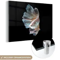 MuchoWow Glasschilderij 180x120 cm - Schilderij acrylglas - Vis - Staart - Zwart - Foto op glas - Schilderijen