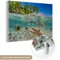 MuchoWow Glasschilderij 180x120 cm - Schilderij acrylglas - Strand - Vissen - Tropisch - Foto op glas - Muurdecoratie woonkamer - Wanddecoratie slaapkamer - Schilderijen