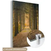 MuchoWow Glasschilderij 120x160 cm - Schilderij acrylglas - Pad - Bomen - Bos - Foto op glas - Schilderijen