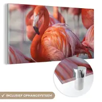 MuchoWow - Glasschilderij - Flamingo - Vogel - Dieren - Roze - Foto op glas - Acrylglas - 120x60 cm - Glasschilderij dieren - Schilderij glas - Muurdecoratie