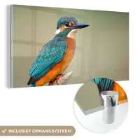 MuchoWow Glasschilderij 80x40 cm - Schilderij acrylglas - Vogel - IJsvogel - Tak - Foto op glas - Schilderijen