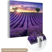 MuchoWow - Glasschilderij - Bloemen - Zonsondergang - Lavendel - Landschap - Bomen - Foto op glas - Acrylglas - 20x20 cm - Wanddecoratie glas - Glasschilderij bloemen - Schilderij paars