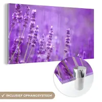 MuchoWow Glasschilderij - Foto op glas - Acrylglas - Bloemen - Paars - Lavendel - Natuur - 80x40 cm - Schilderij glas - Schilderij paars - Glasschilderij natuur - Woondecoratie