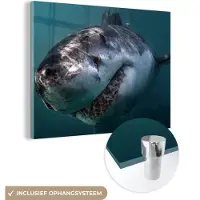 MuchoWow Glasschilderij 80x60 cm - Schilderij acrylglas - Haai - Wit - Water - Foto op glas - Schilderijen