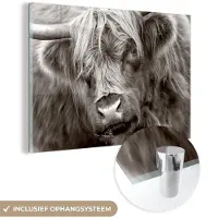 MuchoWow Glasschilderij 180x120 cm - Schilderij acrylglas - Schotse Hooglander - Zwart - Wit - Hoorns - Foto op glas - Schilderijen