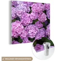 MuchoWow - Glasschilderij - Foto op glas - Hortensia - Bloemen - Roze - Planten - Natuur - Acrylglas - Muurdecoratie - 90x90 cm - Schilderij bloemen - Wanddecoratie