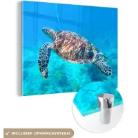 MuchoWow Glasschilderij 160x120 cm - Schilderij acrylglas - Schildpad - Zee - Blauw - Foto op glas - Muurdecoratie woonkamer - Wanddecoratie slaapkamer - Schilderijen
