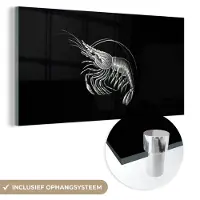 MuchoWow Glasschilderij 40x20 cm - Schilderij acrylglas - Garnalen - Vintage - Ernst Haeckel - Dieren - Kunst - Foto op glas - Schilderijen