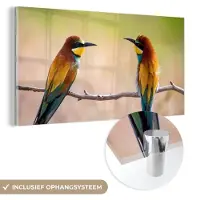 MuchoWow Glasschilderij 40x20 cm - Schilderij acrylglas - Vogels - Bijeneter - Dieren - Foto op glas - Schilderijen